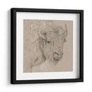 Bisonte Boceto I - Melissa Wang | Cuadro decorativo de Canvas Lab