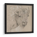 Bisonte Boceto I - Melissa Wang | Cuadro decorativo de Canvas Lab