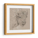 Bisonte Boceto I - Melissa Wang | Cuadro decorativo de Canvas Lab