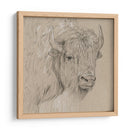 Bisonte Boceto I - Melissa Wang | Cuadro decorativo de Canvas Lab