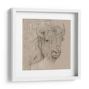 Bisonte Boceto I - Melissa Wang | Cuadro decorativo de Canvas Lab