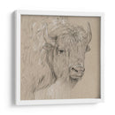 Bisonte Boceto I - Melissa Wang | Cuadro decorativo de Canvas Lab