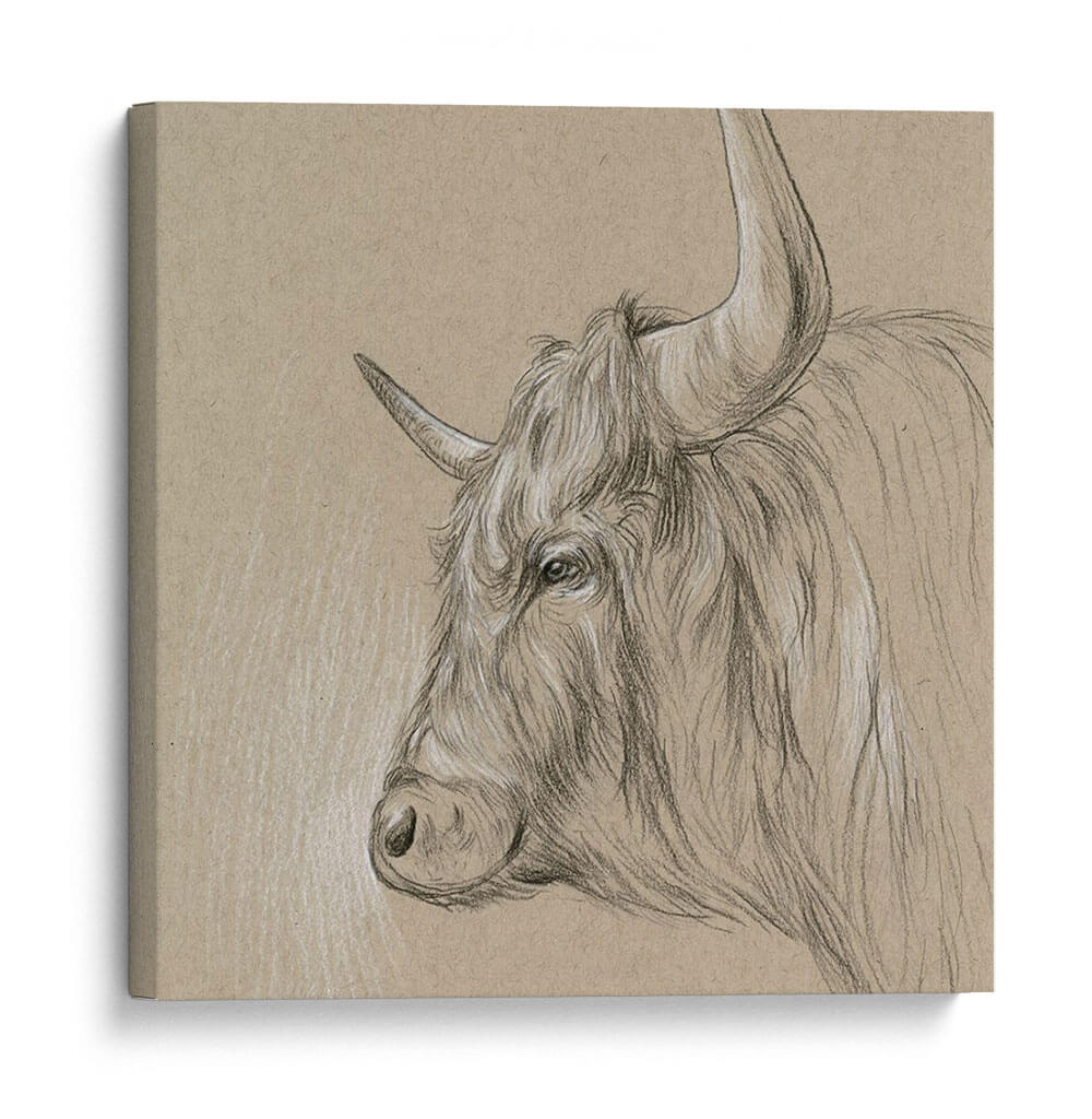 Bison Sketch Ii - Melissa Wang | Cuadro decorativo de Canvas Lab