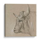 Bison Sketch Ii - Melissa Wang | Cuadro decorativo de Canvas Lab