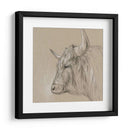 Bison Sketch Ii - Melissa Wang | Cuadro decorativo de Canvas Lab