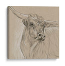 Boceto Longhorn I - Melissa Wang | Cuadro decorativo de Canvas Lab