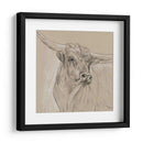 Boceto Longhorn I - Melissa Wang | Cuadro decorativo de Canvas Lab