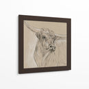 Boceto Longhorn I - Melissa Wang | Cuadro decorativo de Canvas Lab