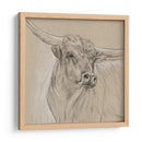 Boceto Longhorn I - Melissa Wang | Cuadro decorativo de Canvas Lab
