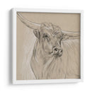 Boceto Longhorn I - Melissa Wang | Cuadro decorativo de Canvas Lab