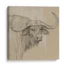 Sketch Ii De Longhorn - Melissa Wang | Cuadro decorativo de Canvas Lab