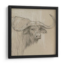 Sketch Ii De Longhorn - Melissa Wang | Cuadro decorativo de Canvas Lab