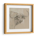 Sketch Ii De Longhorn - Melissa Wang | Cuadro decorativo de Canvas Lab