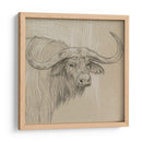 Sketch Ii De Longhorn - Melissa Wang | Cuadro decorativo de Canvas Lab