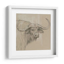 Sketch Ii De Longhorn - Melissa Wang | Cuadro decorativo de Canvas Lab