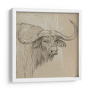 Sketch Ii De Longhorn - Melissa Wang | Cuadro decorativo de Canvas Lab