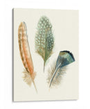 Plumas De Acuarela I - Megan Meagher | Cuadro decorativo de Canvas Lab