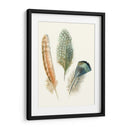 Plumas De Acuarela I - Megan Meagher | Cuadro decorativo de Canvas Lab