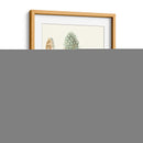 Plumas De Acuarela I - Megan Meagher | Cuadro decorativo de Canvas Lab