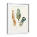 Plumas De Acuarela I - Megan Meagher | Cuadro decorativo de Canvas Lab