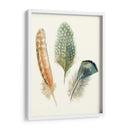 Plumas De Acuarela I - Megan Meagher | Cuadro decorativo de Canvas Lab