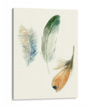 Plumas De Acuarela Ii - Megan Meagher | Cuadro decorativo de Canvas Lab