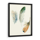 Plumas De Acuarela Ii - Megan Meagher | Cuadro decorativo de Canvas Lab