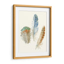 Plumas De Acuarela Iii - Megan Meagher | Cuadro decorativo de Canvas Lab