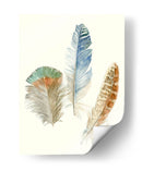 Plumas De Acuarela Iii - Megan Meagher | Cuadro decorativo de Canvas Lab