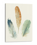 Plumas De Acuarela Iv - Megan Meagher | Cuadro decorativo de Canvas Lab