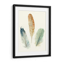 Plumas De Acuarela Iv - Megan Meagher | Cuadro decorativo de Canvas Lab