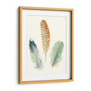 Plumas De Acuarela Iv - Megan Meagher | Cuadro decorativo de Canvas Lab