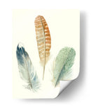 Plumas De Acuarela Iv - Megan Meagher | Cuadro decorativo de Canvas Lab