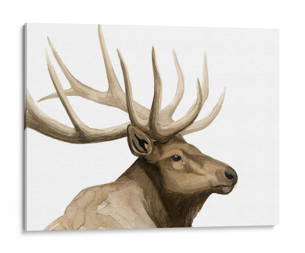 Call Of The Alk I - Grace Popp | Cuadro decorativo de Canvas Lab