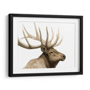 Call Of The Alk I - Grace Popp | Cuadro decorativo de Canvas Lab