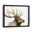 Call Of The Alk I - Grace Popp | Cuadro decorativo de Canvas Lab