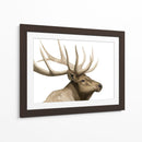 Call Of The Alk I - Grace Popp | Cuadro decorativo de Canvas Lab