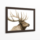 Call Of The Alk I - Grace Popp | Cuadro decorativo de Canvas Lab
