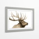 Call Of The Alk I - Grace Popp | Cuadro decorativo de Canvas Lab