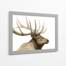 Call Of The Alk I - Grace Popp | Cuadro decorativo de Canvas Lab