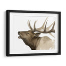 Call Of The Elk Ii - Grace Popp | Cuadro decorativo de Canvas Lab