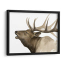 Call Of The Elk Ii - Grace Popp | Cuadro decorativo de Canvas Lab