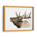 Call Of The Elk Ii - Grace Popp | Cuadro decorativo de Canvas Lab