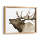 Call Of The Elk Ii - Grace Popp | Cuadro decorativo de Canvas Lab