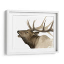 Call Of The Elk Ii - Grace Popp | Cuadro decorativo de Canvas Lab