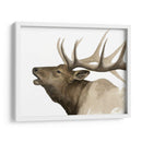 Call Of The Elk Ii - Grace Popp | Cuadro decorativo de Canvas Lab