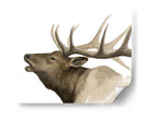 Call Of The Elk Ii - Grace Popp | Cuadro decorativo de Canvas Lab
