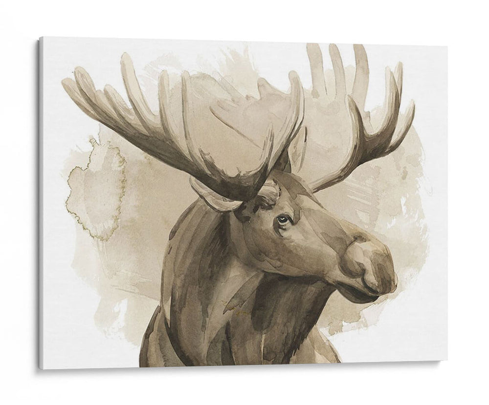 Toro Alce I - Grace Popp | Cuadro decorativo de Canvas Lab