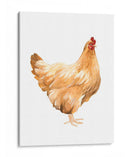 Otoño Pollo I - Emma Scarvey | Cuadro decorativo de Canvas Lab
