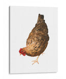 Pollo Autumn Ii - Emma Scarvey | Cuadro decorativo de Canvas Lab